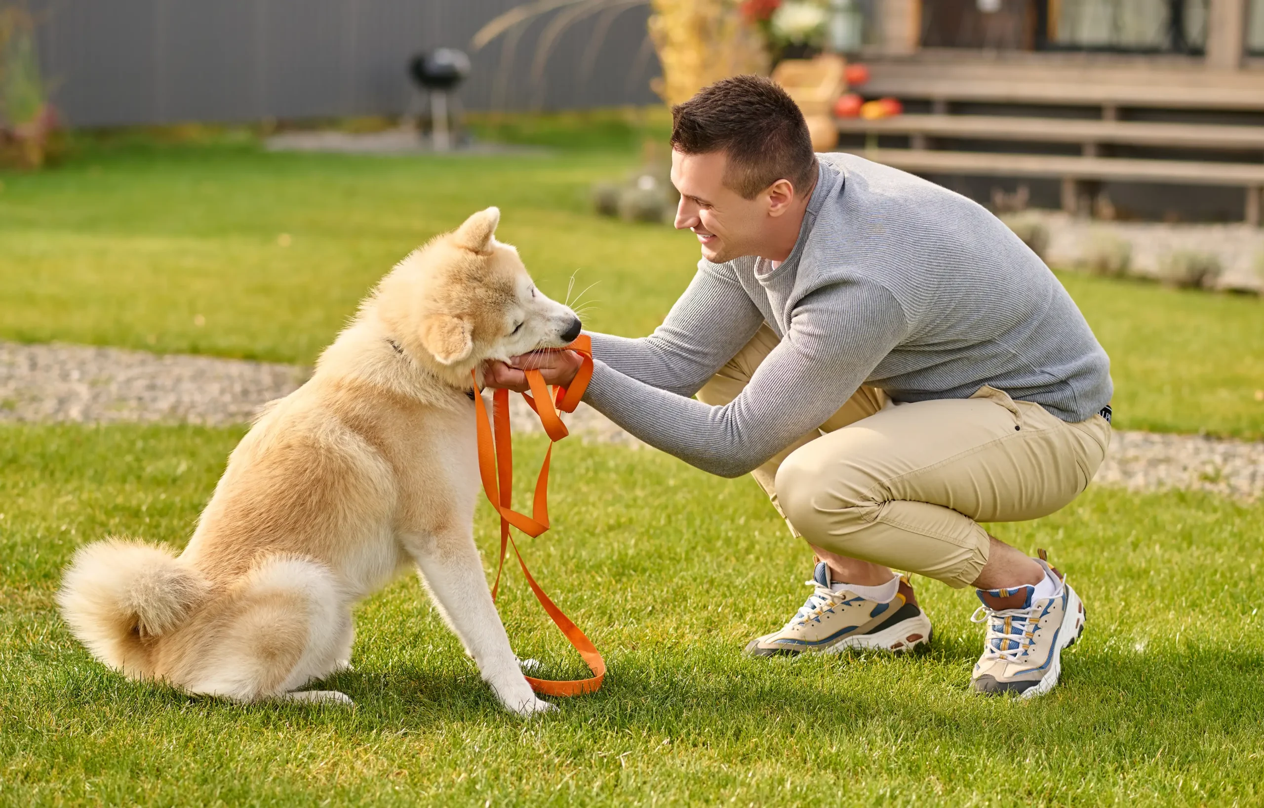 take care of a dog
