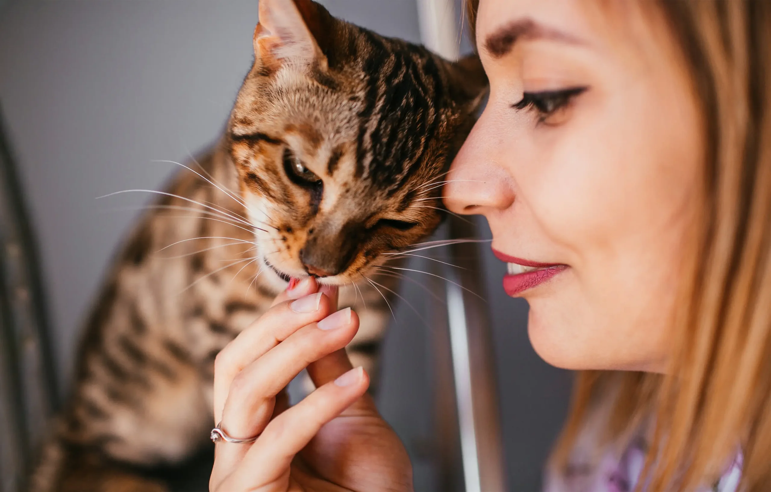 I watch my cat lick my fingers