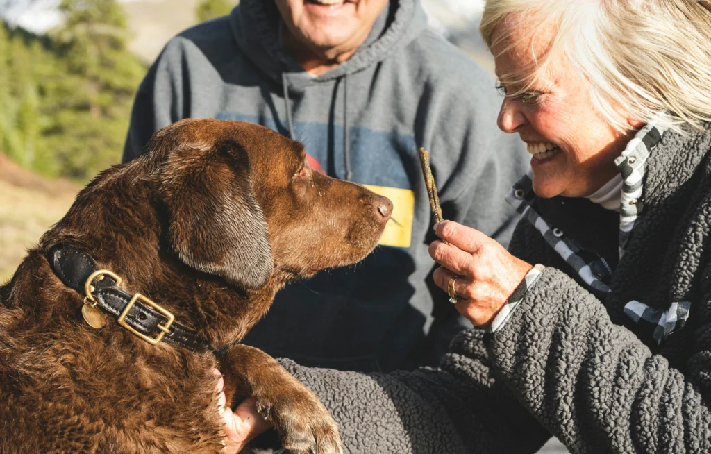 What to Do When Your Dog Dies