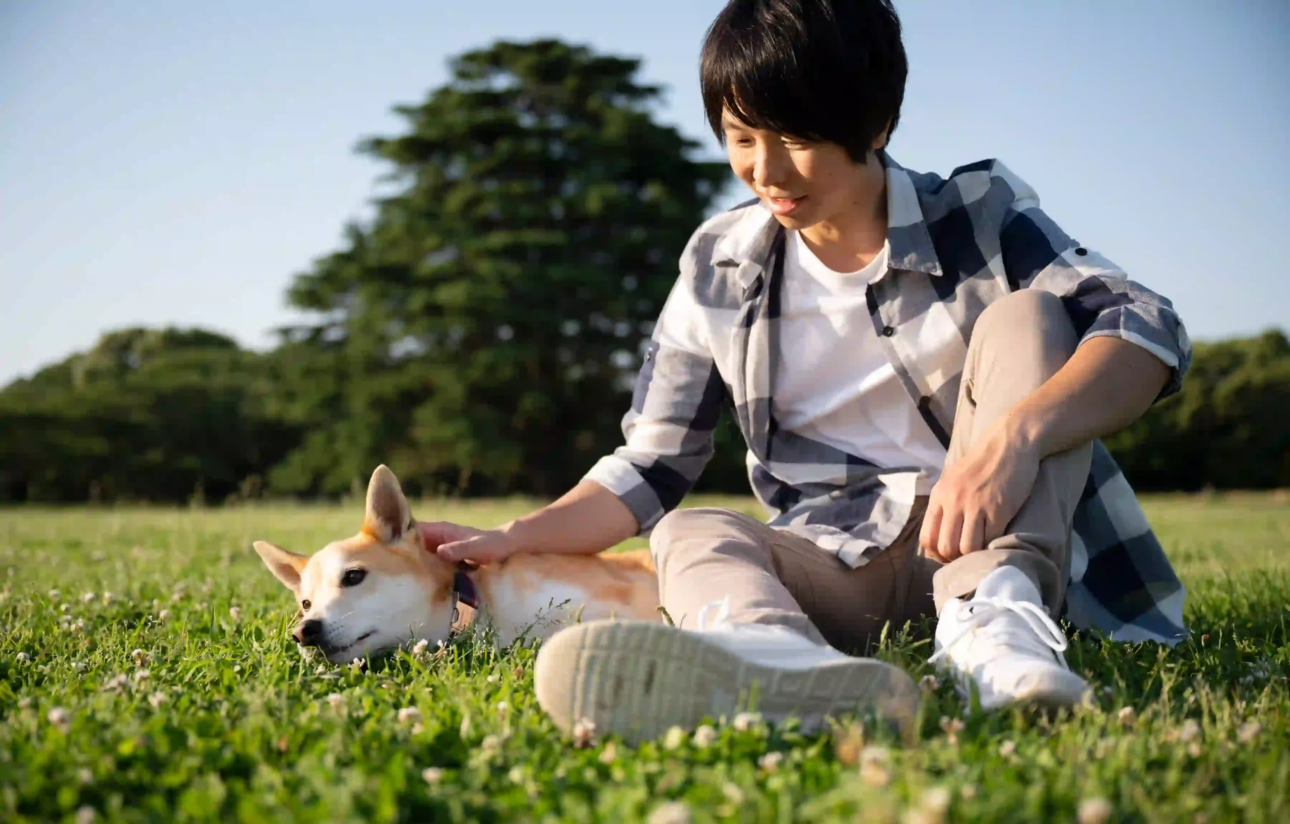 why is my dog aloof: a people sit on the ground with his dog